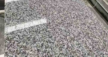 天水 芙蓉白光面