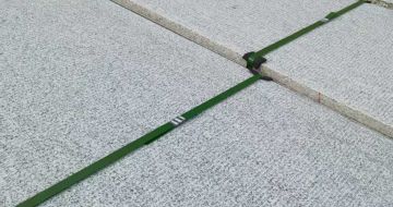 天水 芝麻白斧剁面