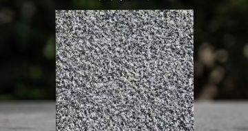 天水 芝麻黑荔枝面