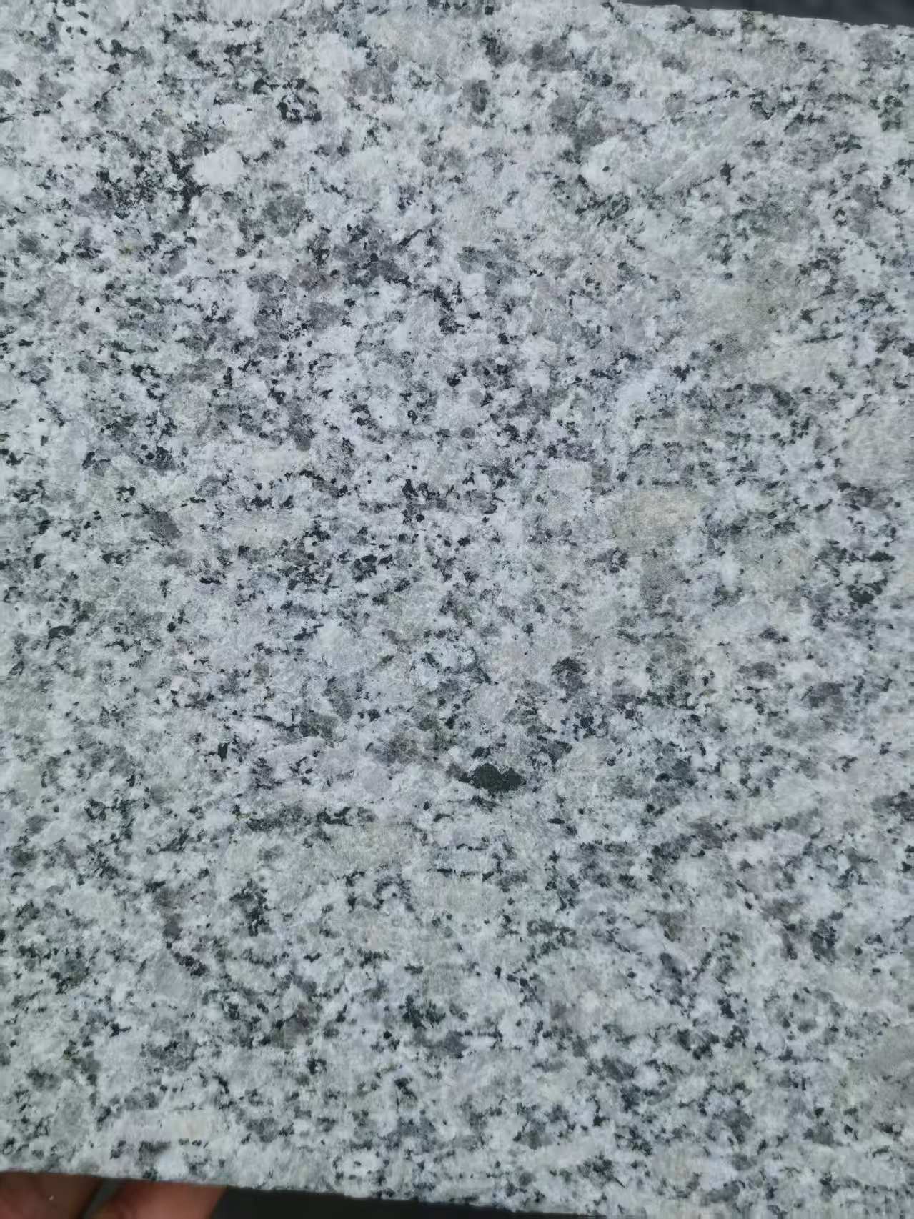 天水 芙蓉白火烧面