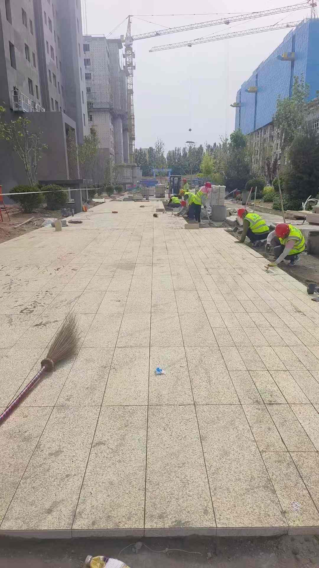 天水黄金麻荔枝面地铺案例