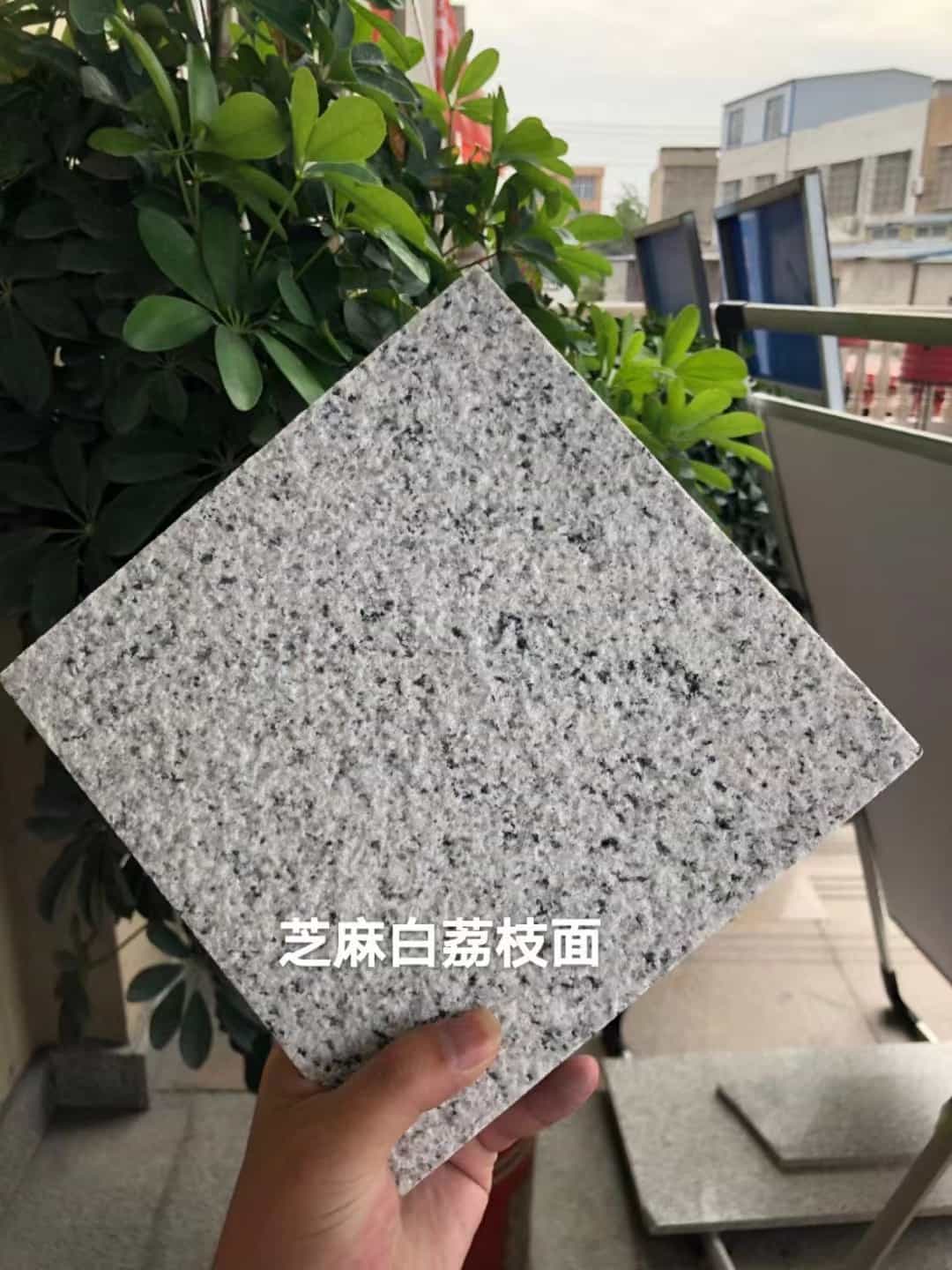 天水 芝麻白荔枝面干挂