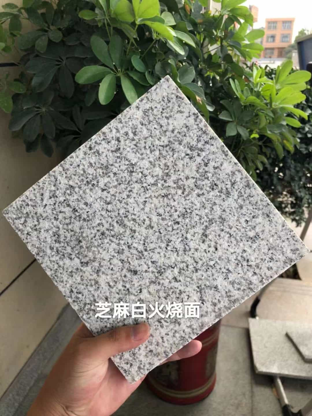 天水芝麻白火烧面地铺