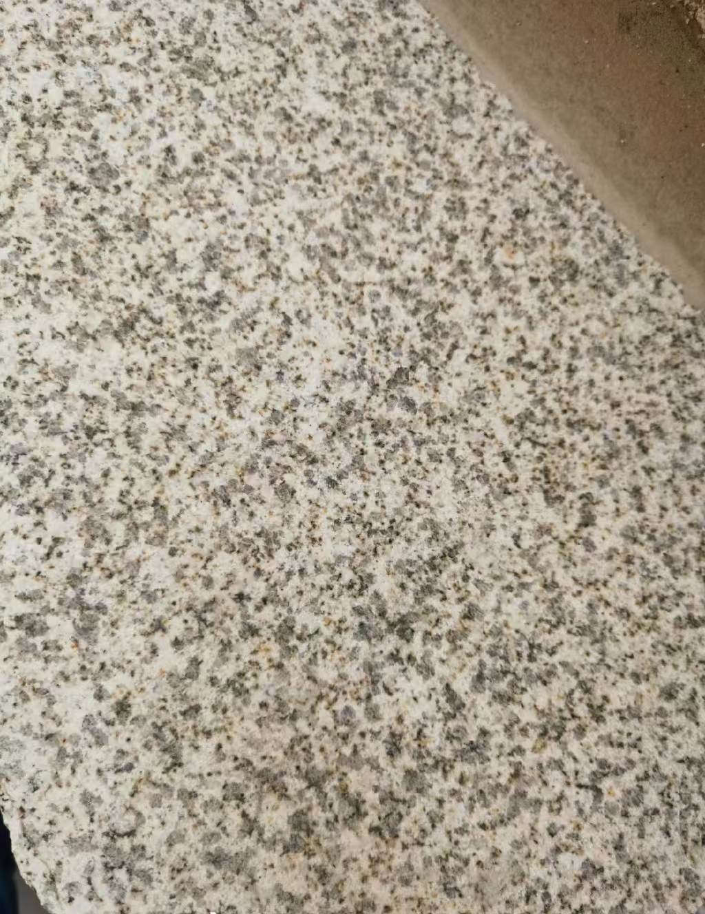 天水 黄金麻中黄光面